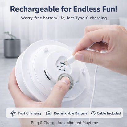 Interactive Hide and Seek Cat Toy