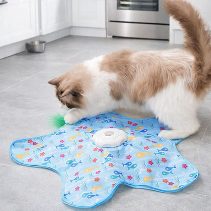 Interactive Hide and Seek Cat Toy