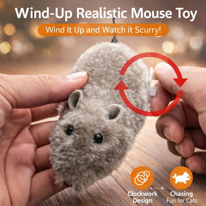 Fun and Interactive Mouse Cat Toy