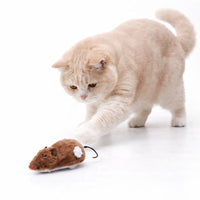 Fun and Interactive Mouse Cat Toy