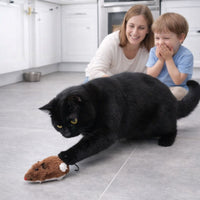 Fun and Interactive Mouse Cat Toy