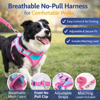 Cat Reflective Harness and Leash Set