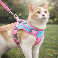 Cat Reflective Harness and Leash Set