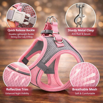 Cat Reflective Harness and Leash Set