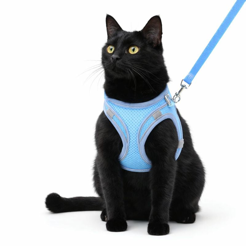 Cat Reflective Harness and Leash Set