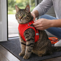 Cat Reflective Harness and Leash Set