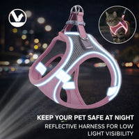 Cat Reflective Harness and Leash Set