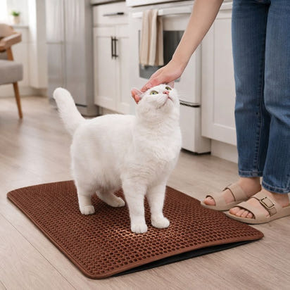 Cat Double Layer Waterproof Litter Mat