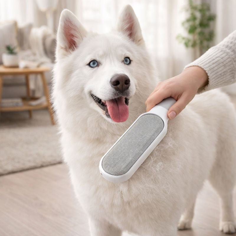 Double-Sided Pet Hair Remover
