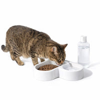 Automatic Drinking Pet Bowl