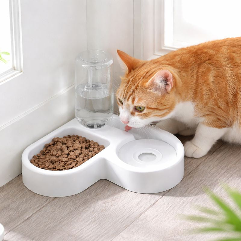 Automatic Drinking Pet Bowl