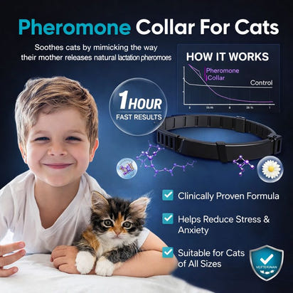 Cat & Dog Anxiety Relief Calming Collar