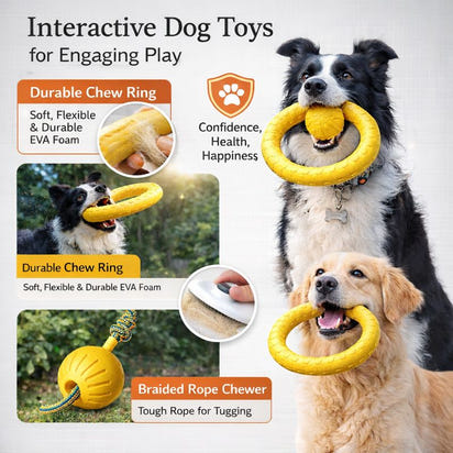Dog Toy Bundle 4-Pack – Tough EVA Flying Disc, Ball & Tug Rope for Aggressive Chewers
