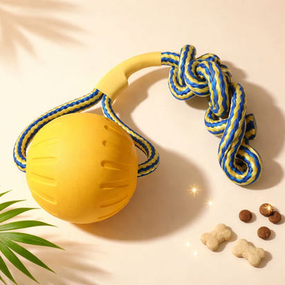 Dog Toy Bundle 4-Pack – Tough EVA Flying Disc, Ball & Tug Rope for Aggressive Chewers