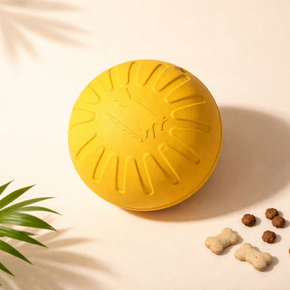 Dog Toy Bundle 4-Pack – Tough EVA Flying Disc, Ball & Tug Rope for Aggressive Chewers