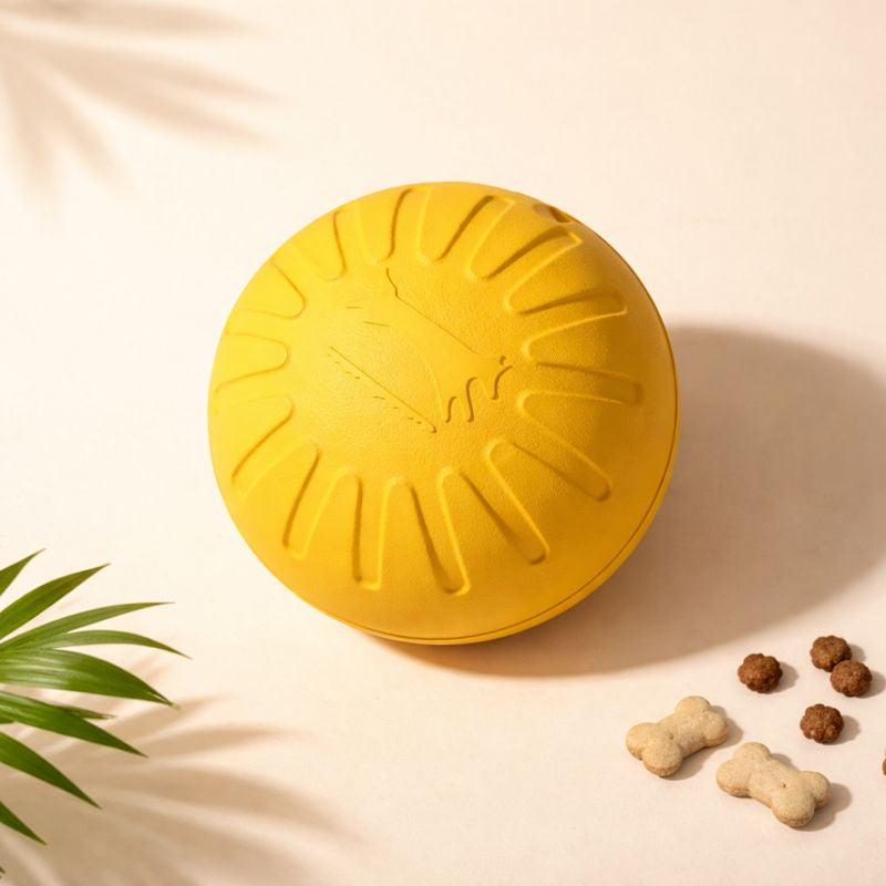 Dog Toy Bundle 4-Pack – Tough EVA Flying Disc, Ball & Tug Rope for Aggressive Chewers