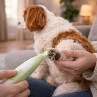 Professional Dog Grooming LED Hair Trimmer