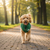 Dog Fleece Sweater Coat