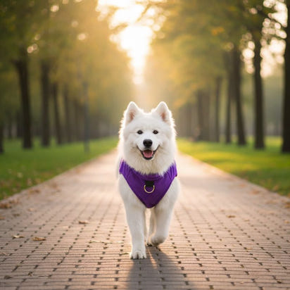 Dog Fleece Sweater Coat