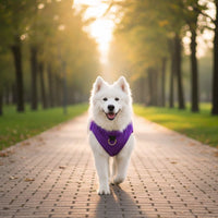 Dog Fleece Sweater Coat