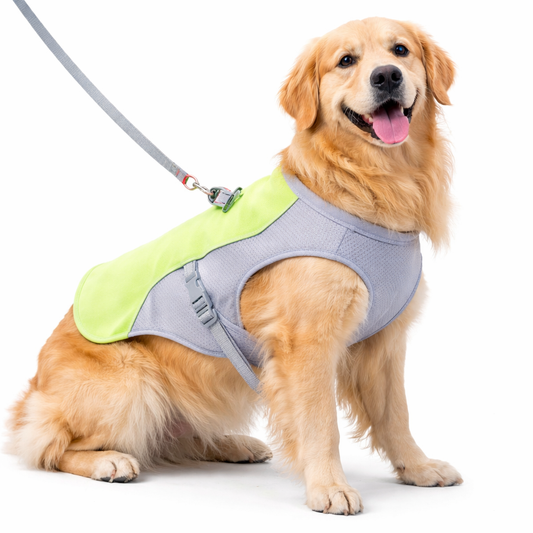 Dog Cooling Vest - Stay Cool in Hot Weather