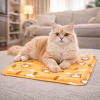 Pet Cooling Water Mat