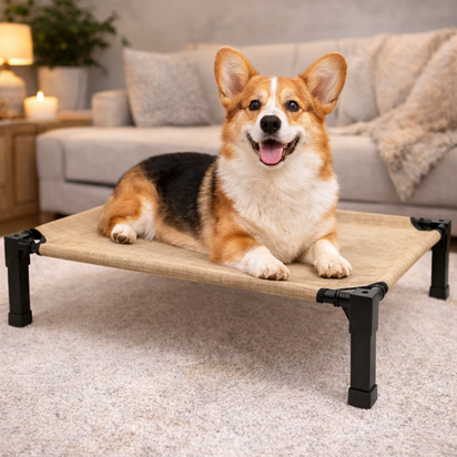 Premium Elevated Cooling Dog Bed – Breathable Raised Mesh Pet Cot