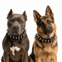 Spiked Faux Dog Collar & Leash Set