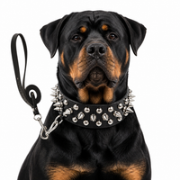 Spiked Faux Dog Collar & Leash Set