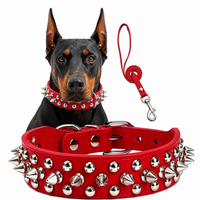 Spiked Faux Dog Collar & Leash Set