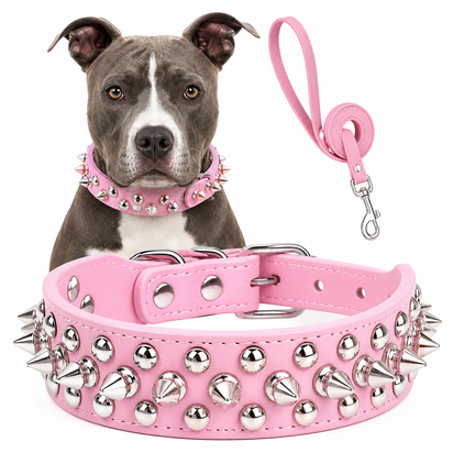 Spiked Faux Dog Collar & Leash Set