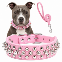 Spiked Faux Dog Collar & Leash Set