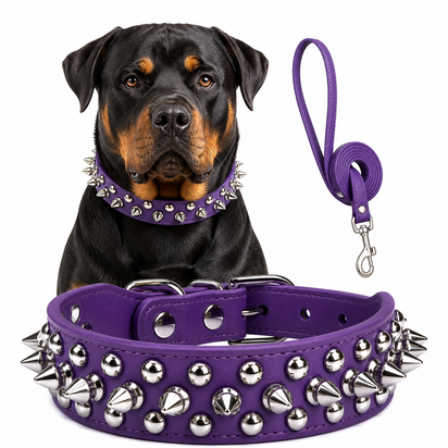 Spiked Faux Dog Collar & Leash Set