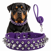 Spiked Faux Dog Collar & Leash Set