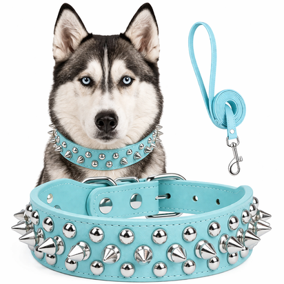 Spiked Faux Dog Collar & Leash Set