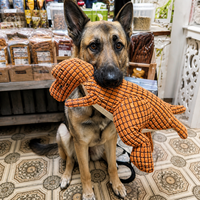 Indestructible Plush Dog Toy for Aggressive Chewers