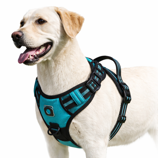 Comfort Control No Pull Dog Harness