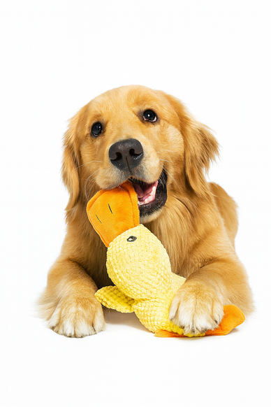 Soft Enough to Soothe, Strong Enough to Play.