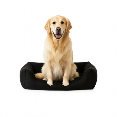 Soft Support & Sweet Dreams