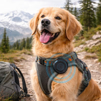 Dog Cat GPS Bluetooth 5.0 Tracker