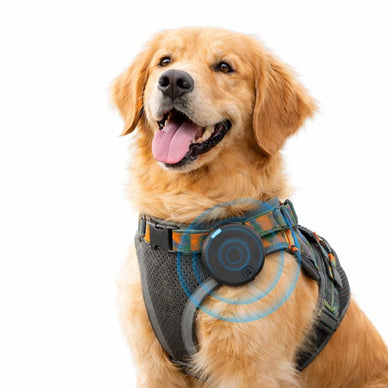 Track. Locate. Protect. All-in-One Peace of Mind.