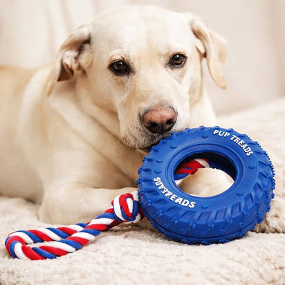 Rubber Tire & Rope Heavy Duty Toy