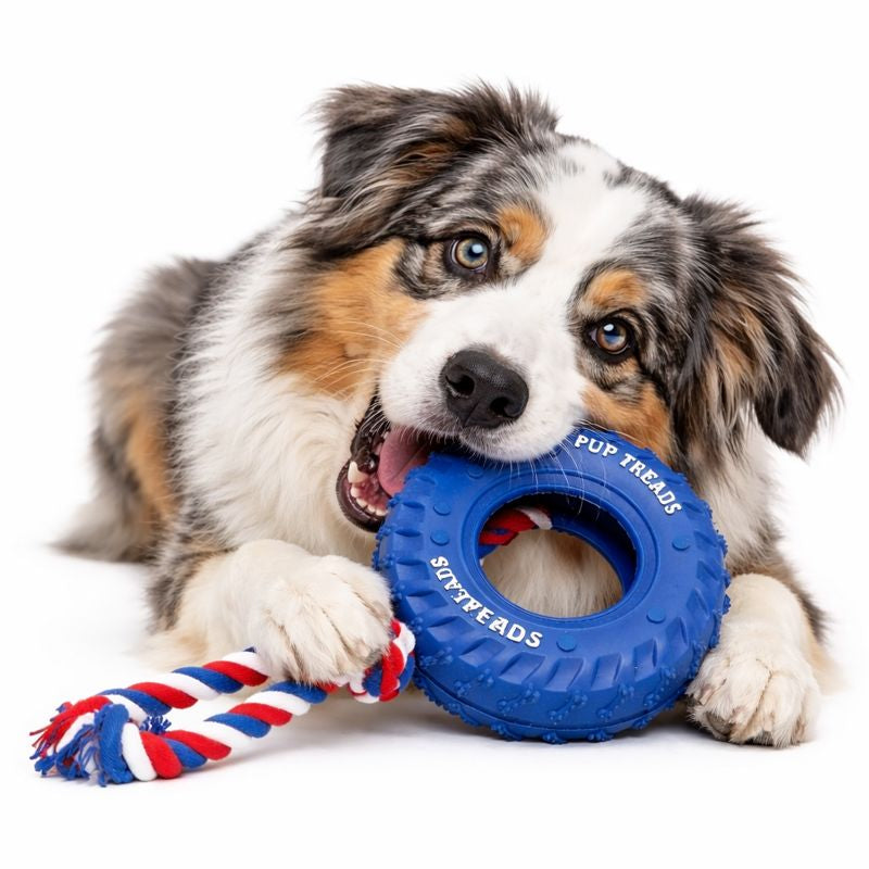 Rubber Tire & Rope Heavy Duty Toy