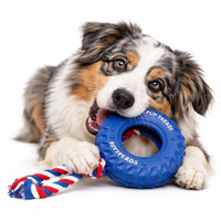 Rubber Tire & Rope Heavy Duty Toy