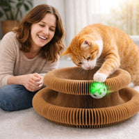 Cat Accordion Toy Ball