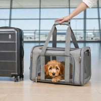 Foldable Soft Dog & Cat Travel Bag - Airline Approved