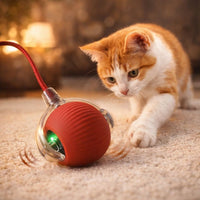 Smart Rolling Play Cat & Dog Ball Toy