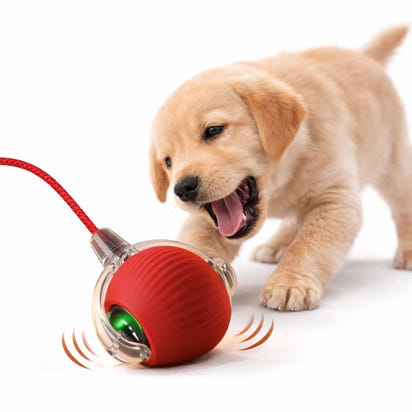 Smart Rolling Play Cat & Dog Ball Toy