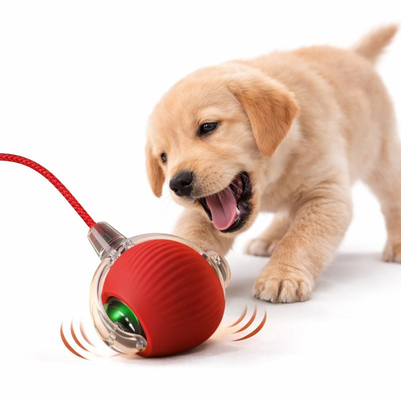 Smart Rolling Play Cat & Dog Ball Toy