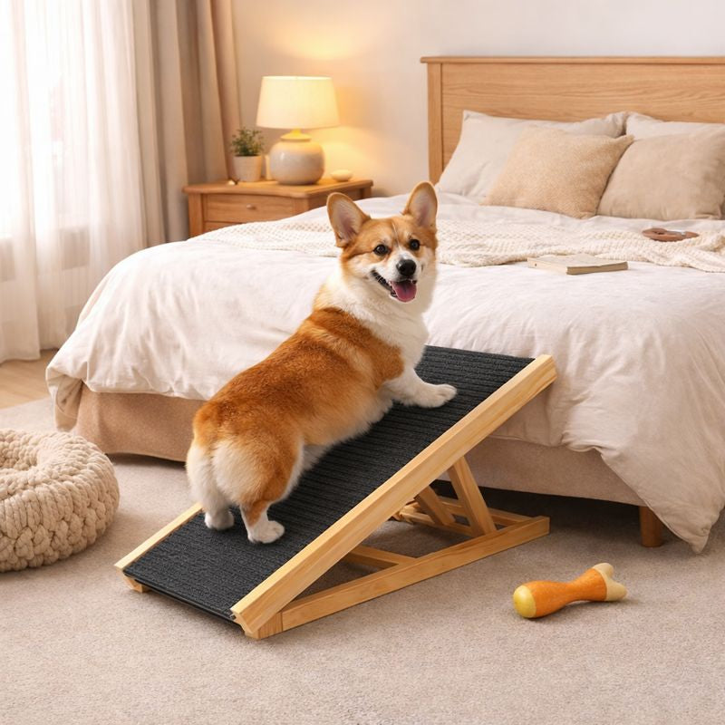 Adjustable Folding Dog & Cat Ramp